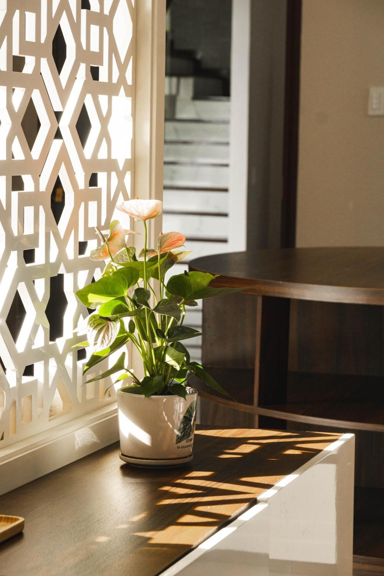 Shalom House _ Bao Loc Hotel Kültér fotó