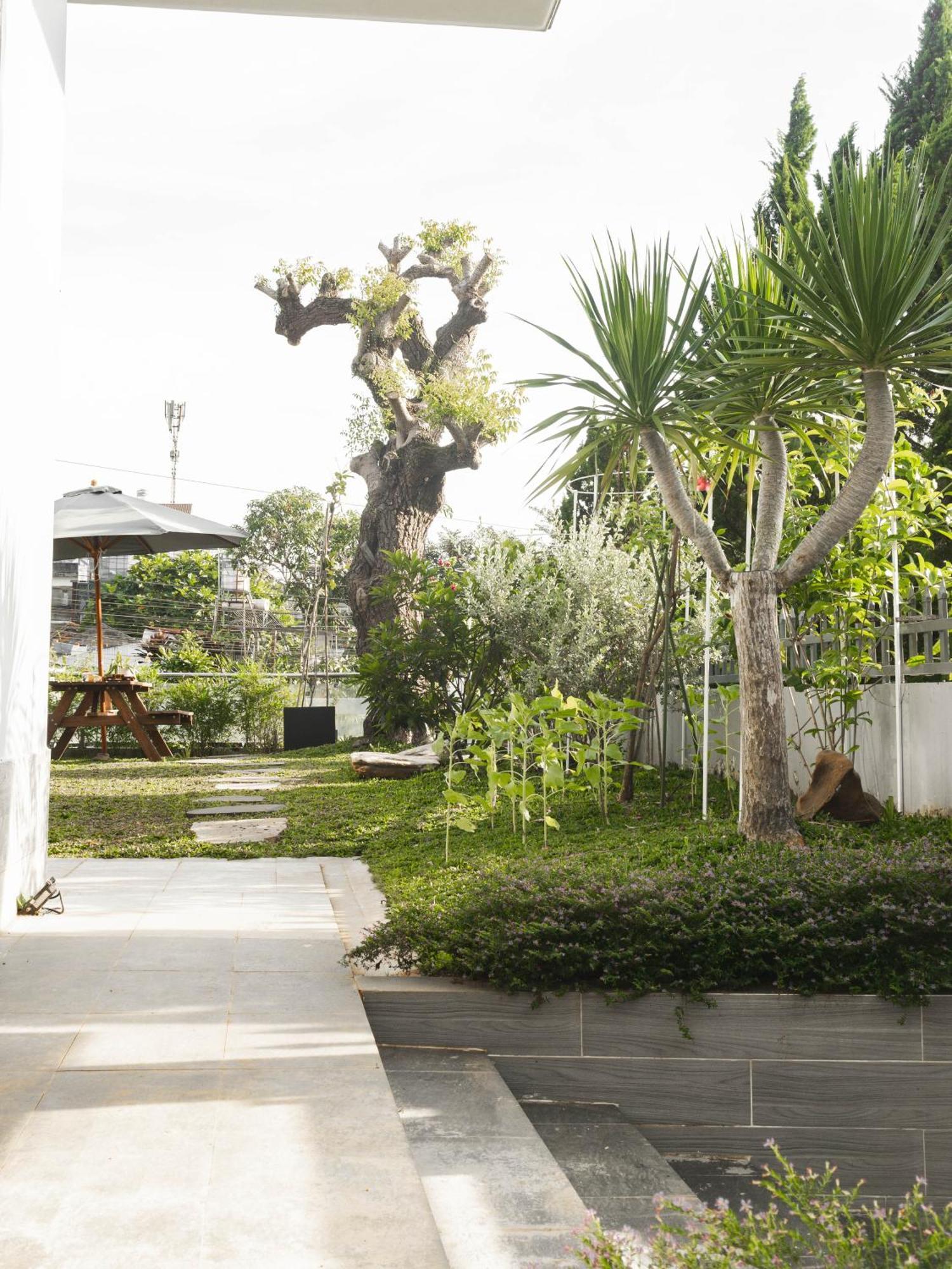 Shalom House _ Bao Loc Hotel Kültér fotó