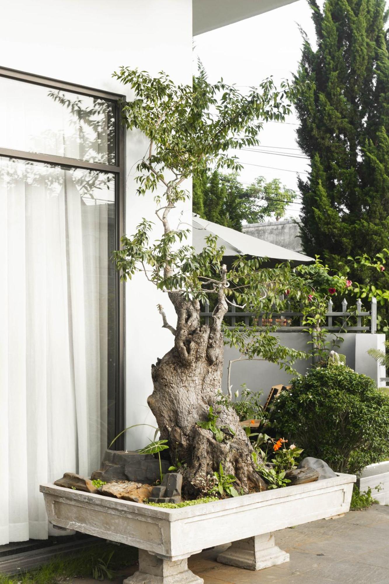 Shalom House _ Bao Loc Hotel Kültér fotó